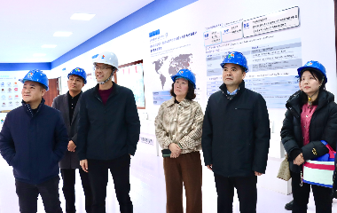 陽(yáng)光電源股份、宜賓智能制造行業(yè)協(xié)會(huì)、宜賓安徽商會(huì)調(diào)研遠(yuǎn)東電纜（宜賓）